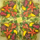 001 Pflanzen - 3 lagig - Molca